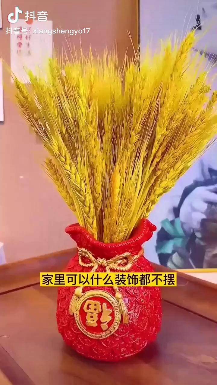 家里摆上几束黄金麦穗,寓意着"岁岁平安",简约时尚又好看麦穗 好物