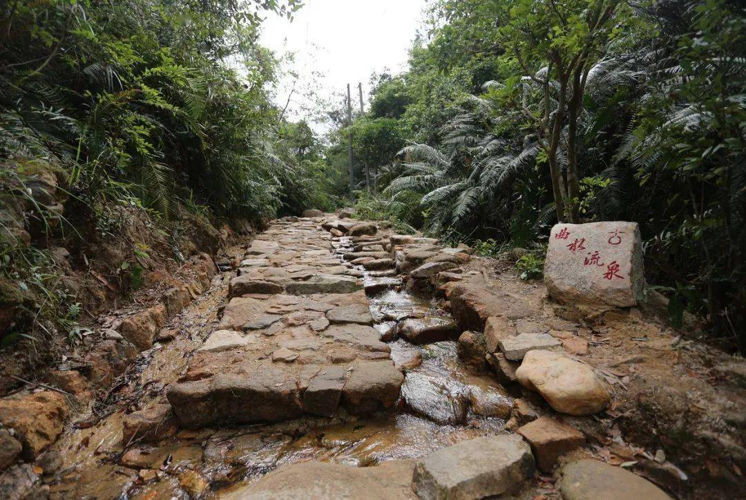 珠海这条绝美登山古道静静地美了300年