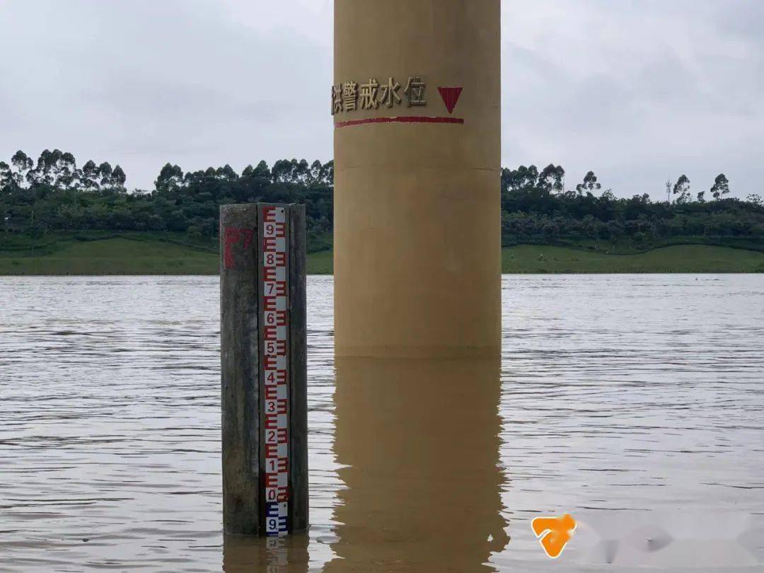 邕江迎今年首场超设防水位洪水!部分学校启动停课机制!