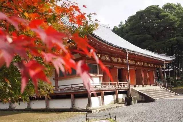 禪寺,周圍建立許多塔頭寺院,形成一大寺院群,被京都市民稱為西之御所