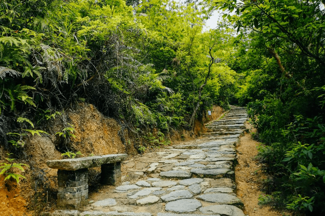 珠海这条绝美登山古道,静静地美了300年!