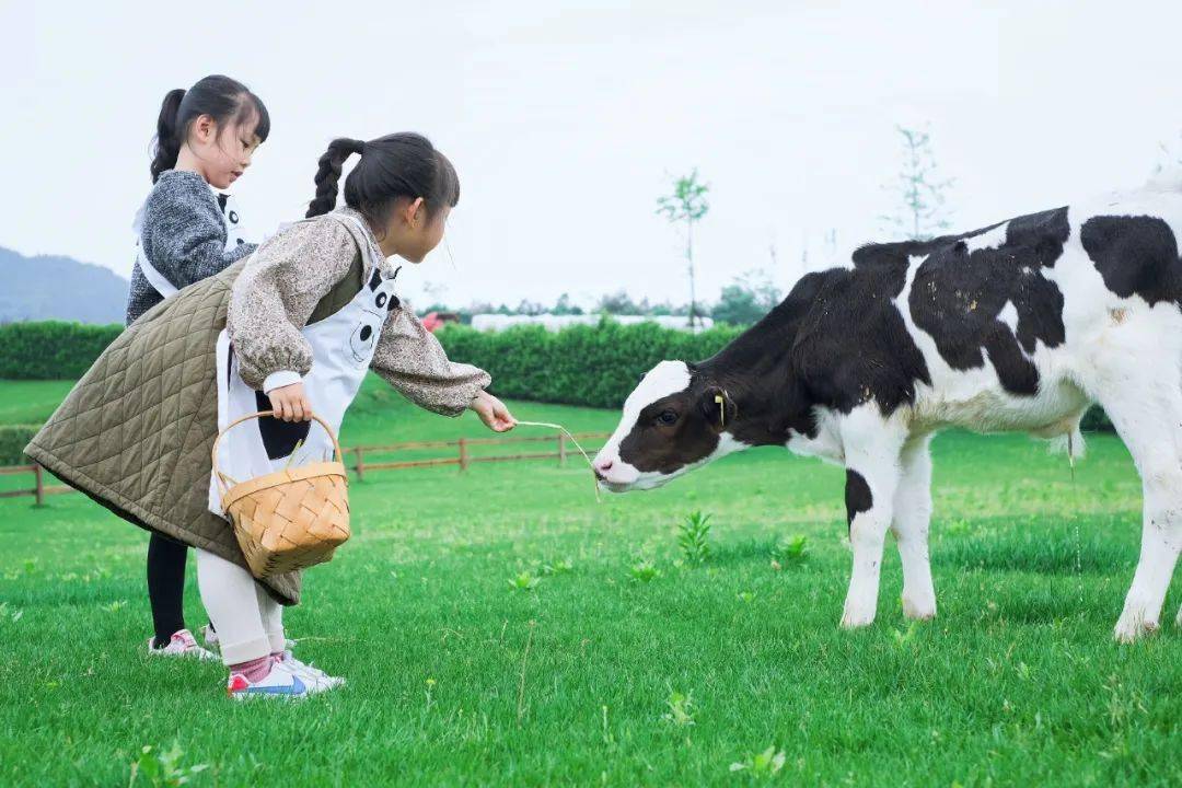 小小农夫插秧日丨云岚牧场有机生态研学之旅火热招募中