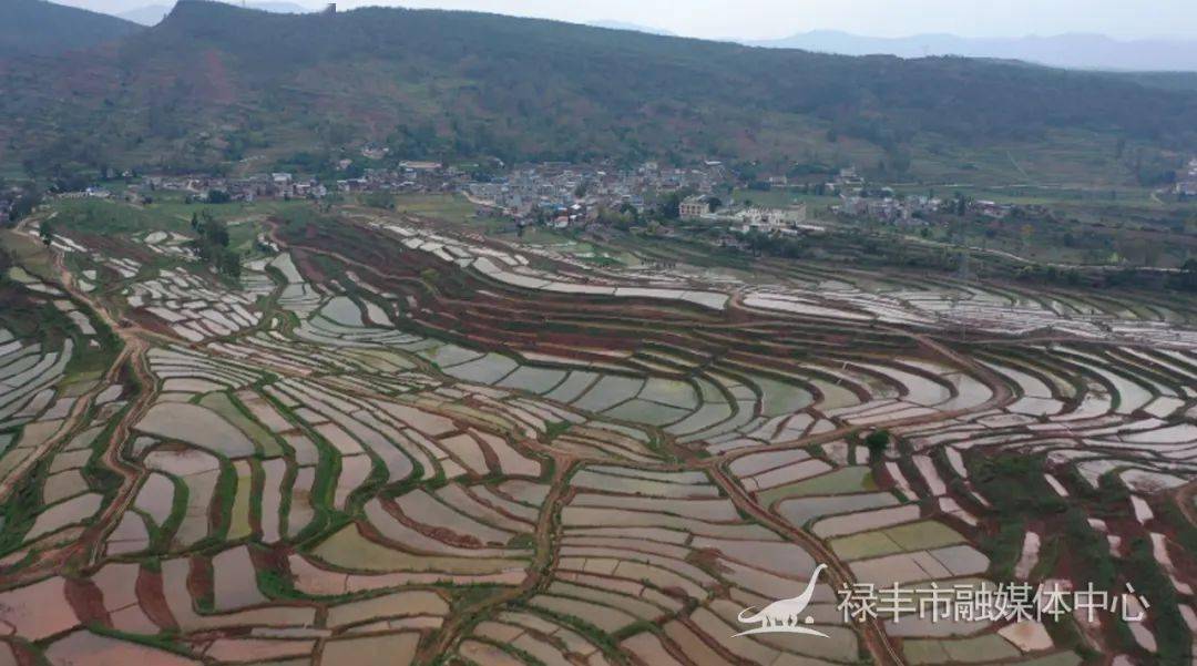 金山鎮土地提質增效改出良田好光景走穩糧食安全路