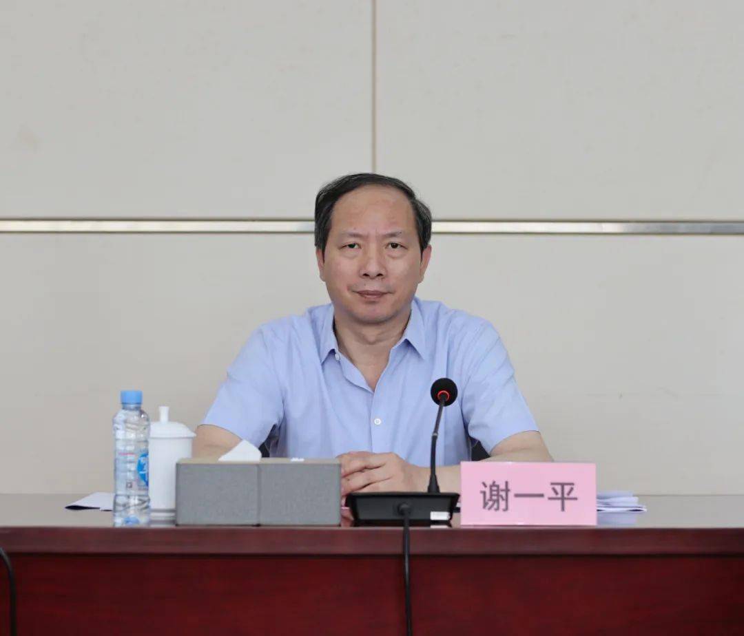 谢一平全力以赴确保商务经济实现双过半