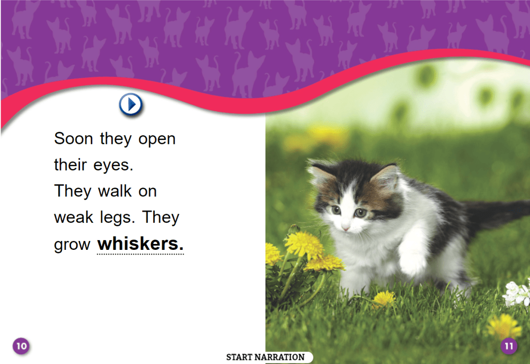 英文绘本丨kittens小猫咪