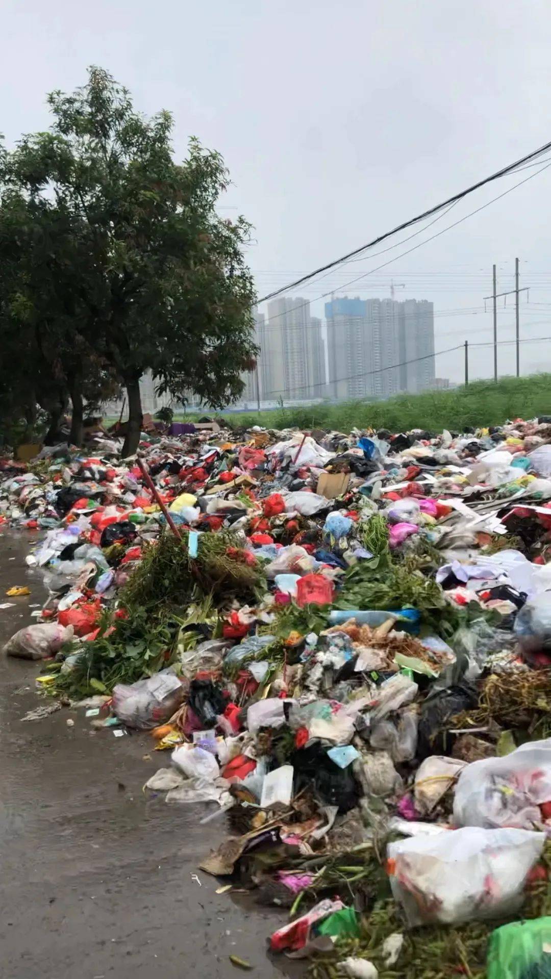 玉林这条路"秒变"垃圾堆,臭味熏天!