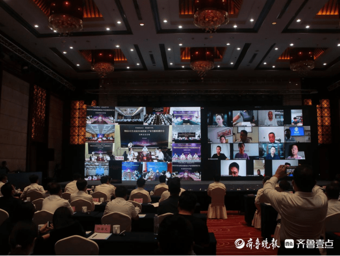 聊城有色金属及金属深加工产业专题招商推介会成功举办_会议_网络_王彤宇