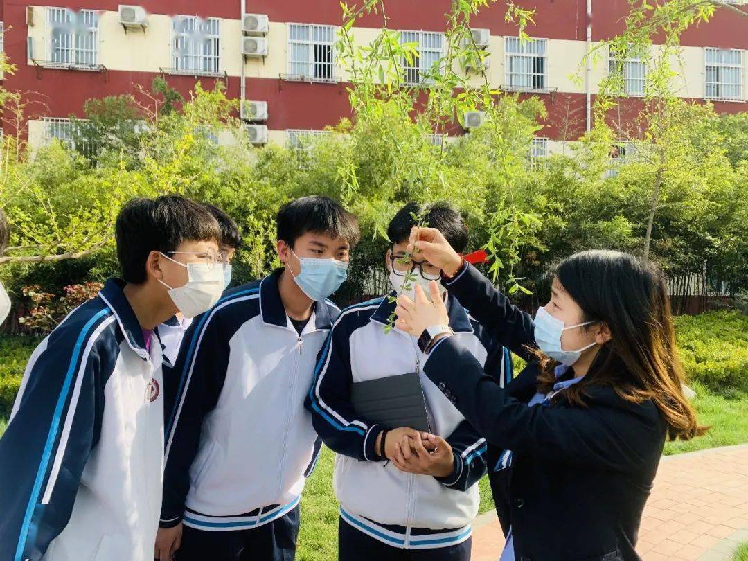 待遇优厚西咸新区泾华学校最新招聘中小学教师含营养师