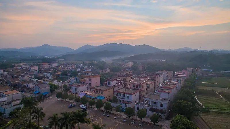 【多彩乡村·作品展示】南朗街道合外村:红色热土展新颜_中山市_云梯