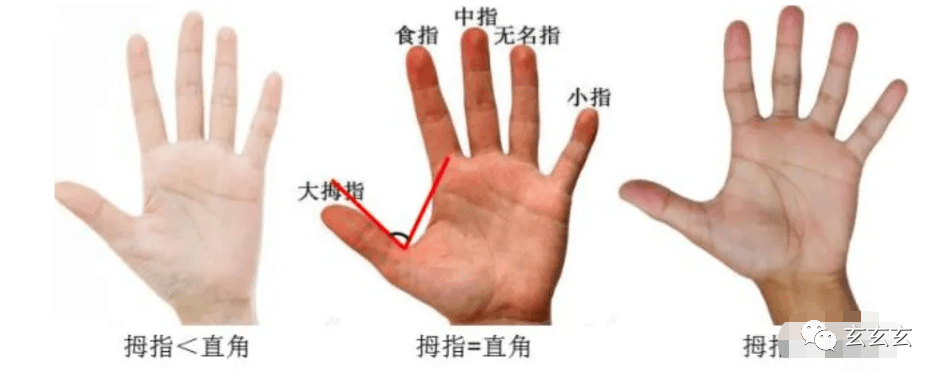 大拇指弯和直的说法图片