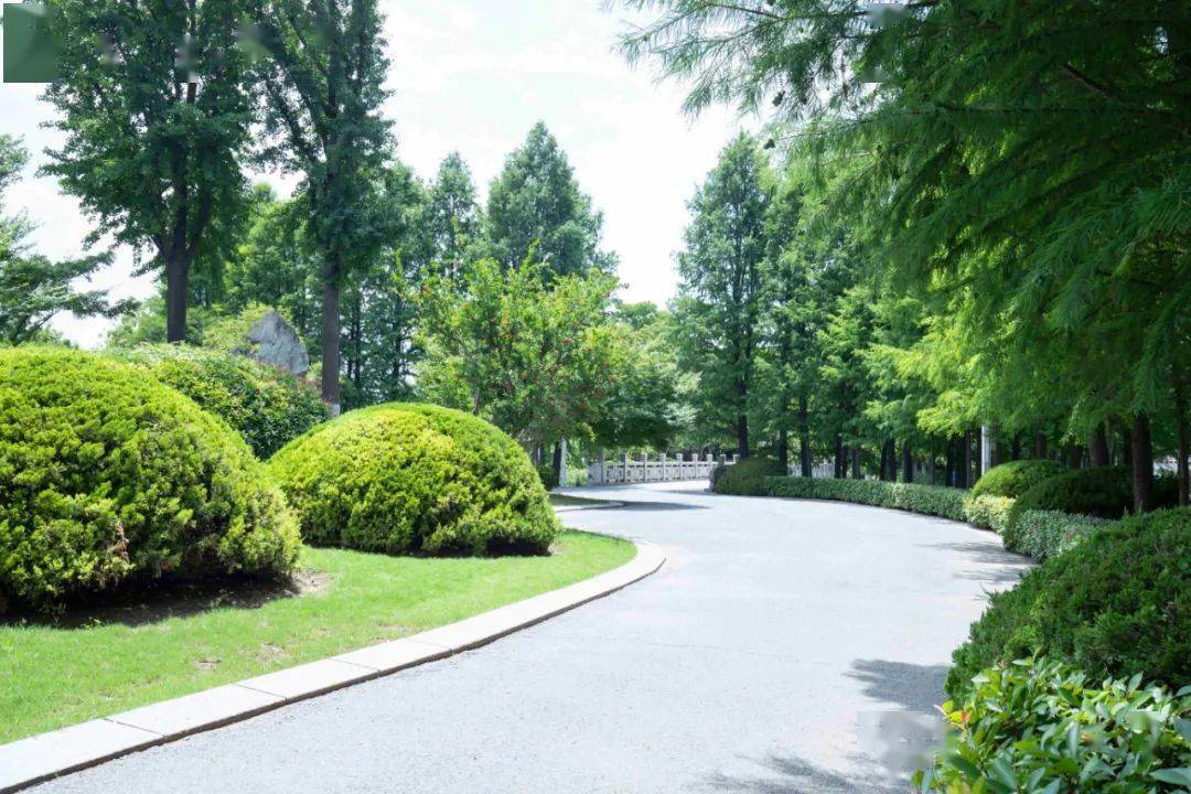 江苏靖江西郊公园的山水盆景堪比桂林阳朔山水不来绝对吃亏哦