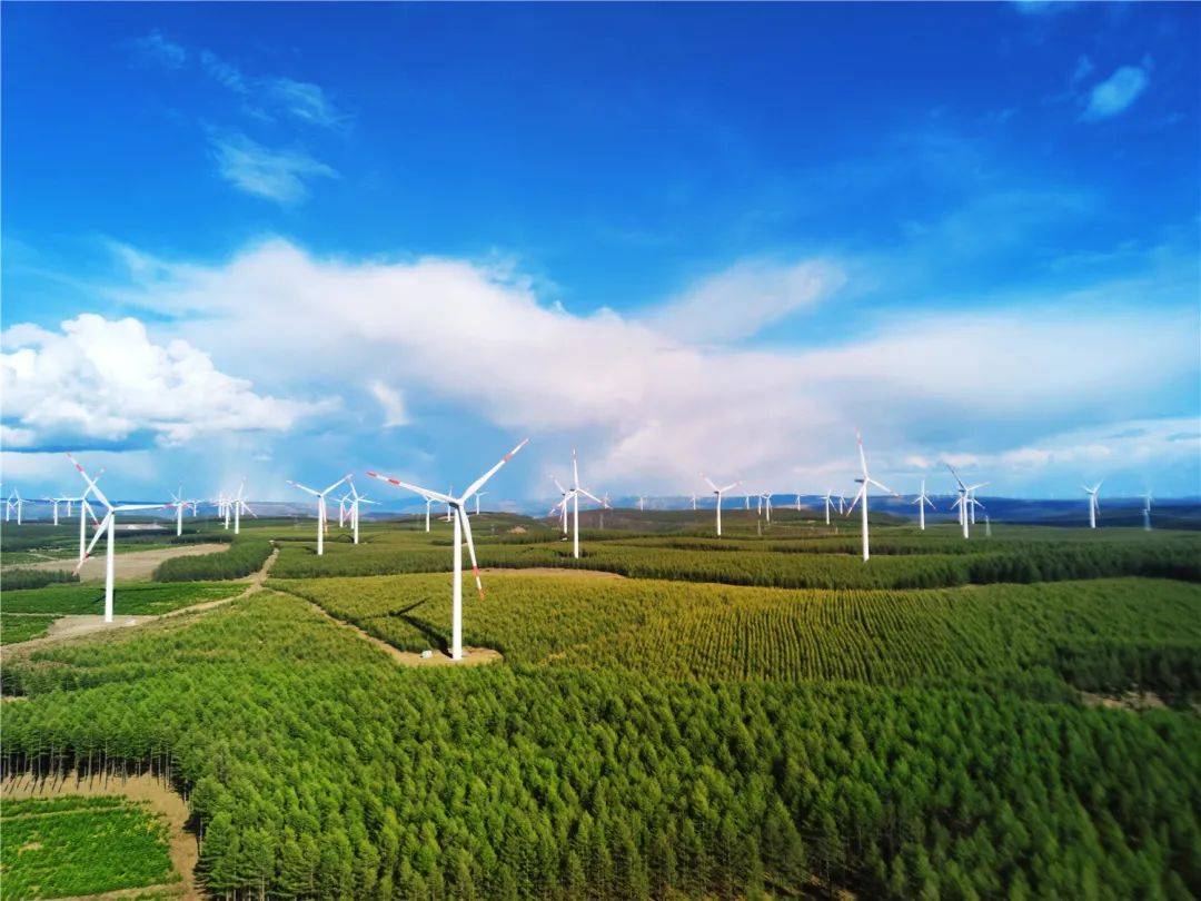 塞罕坝精神是塞罕坝荒漠变绿洲的核心密码,也是激励海装人建设绿色风