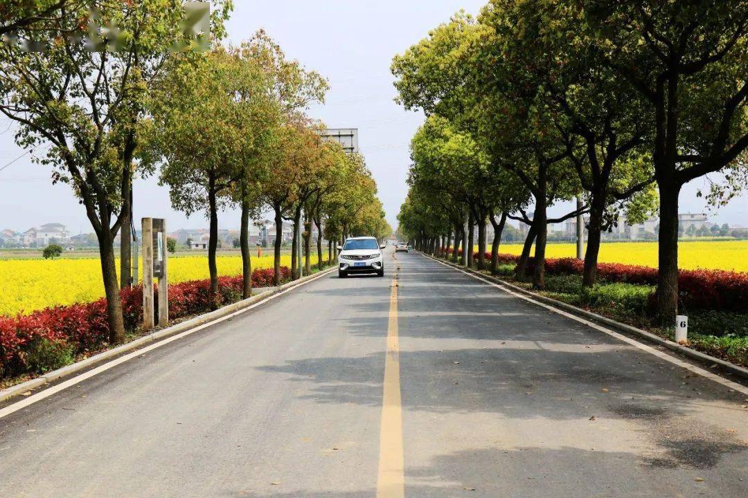 畅通"微循环";推动乡镇通三级及以上公路建设,实现乡镇与市区,邻近国