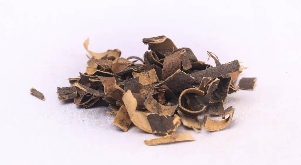 中药小课堂秦皮