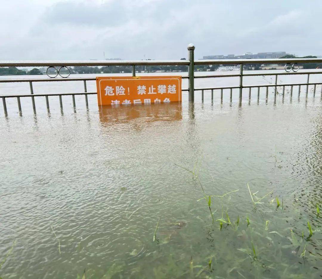 佛山顺德乐从外江洪水水位已超警戒线