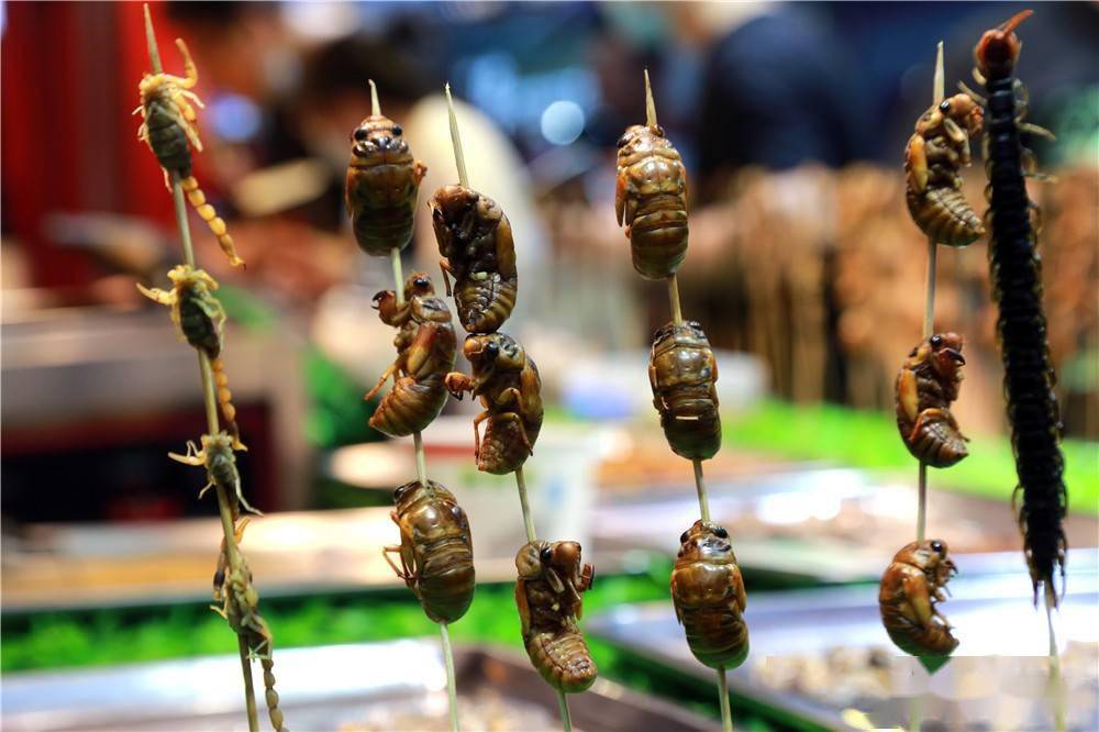 沈阳特色昆虫宴现夜市