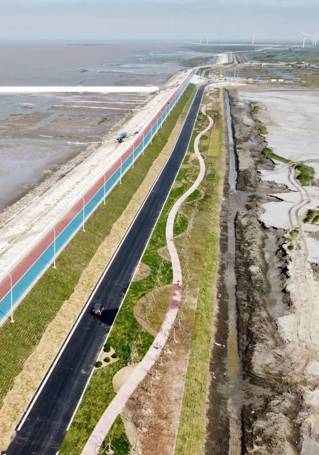 长寿之乡江苏启东海岸生态修复取得重大成果16公里海堤成美丽绿色屏障