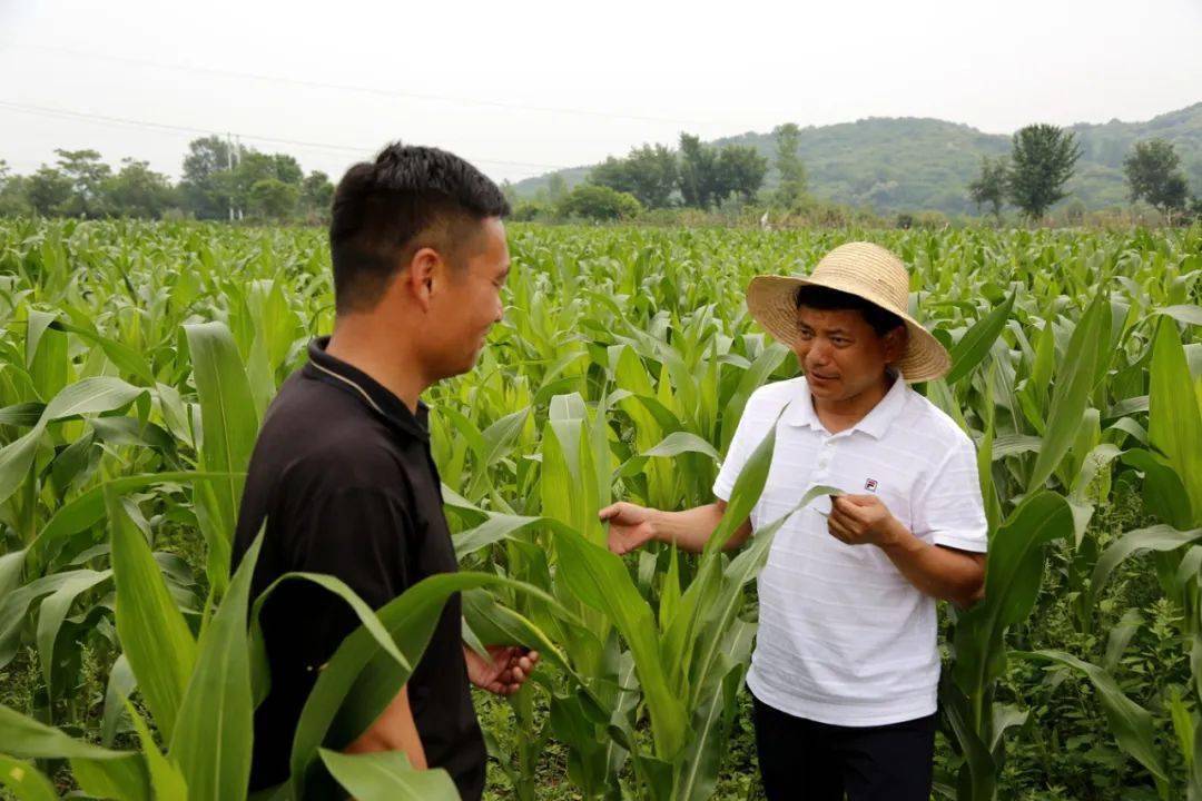 反哺家乡作贡献报效桑梓助振兴记孝感市人大代表大悟县芳畈镇赵河村