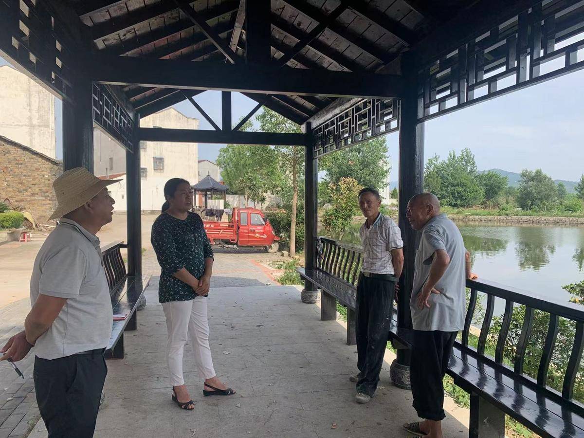 麻城市夫子河镇干部田间地头办实事