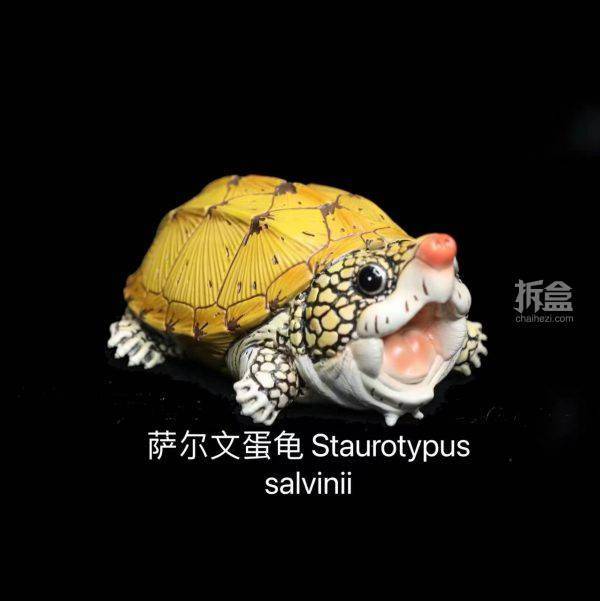 涅盘工作室q版蛋龟原创爬行乌龟动物仿真模型手办摆件