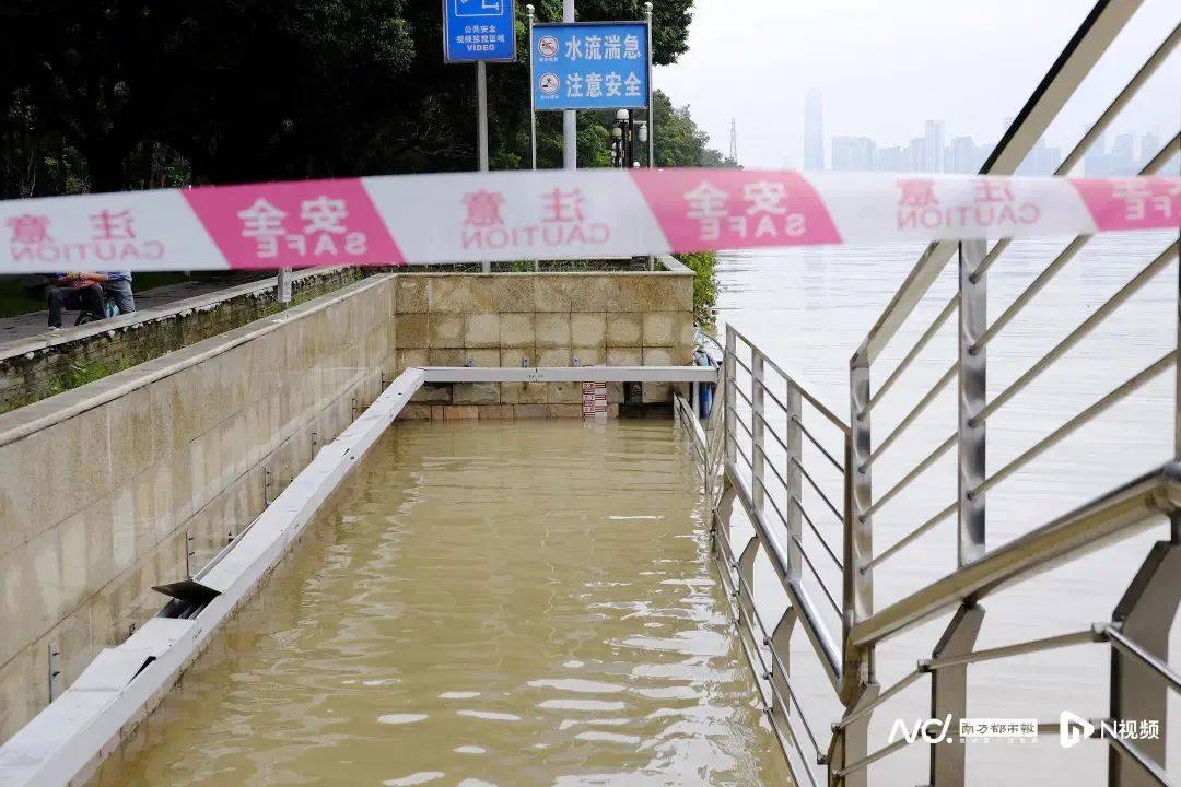 明天起退潮 →廣州未來一週暴雨…_珠江_高程_龍舟