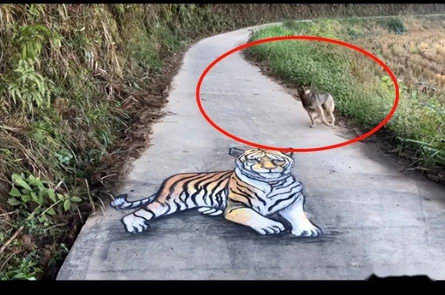 【乱石穿空】张世先:"3d立体画"吓呆路人67_小伙_美女_全网