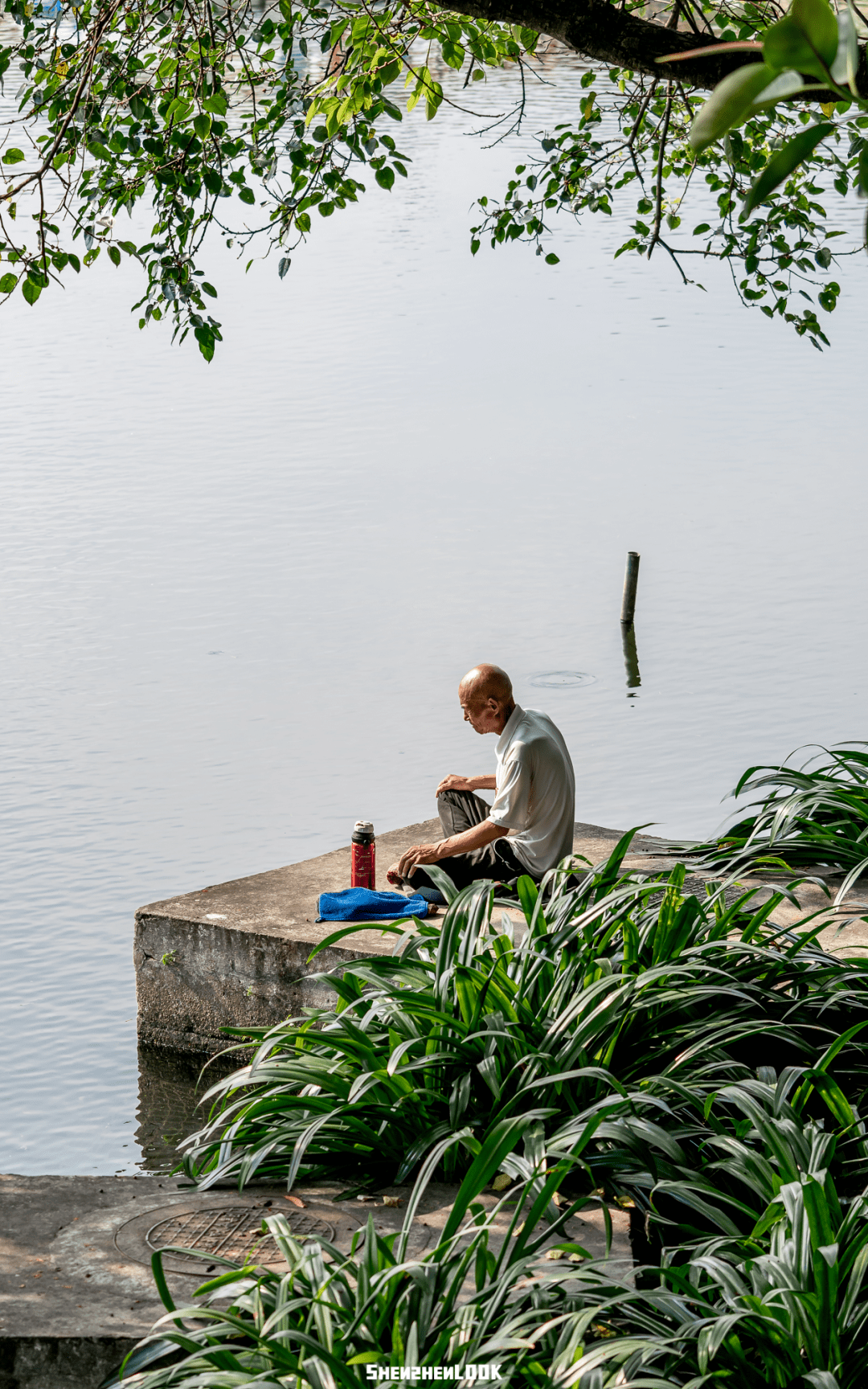 【乐活】"我的童年,从荔湖开始"_荔枝公园_资料_悠悠