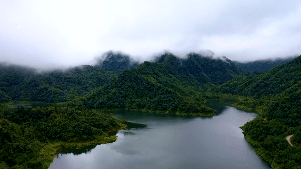 【點贊】昭通綏江:美了生態富了民_羅坪村_古木_綠色