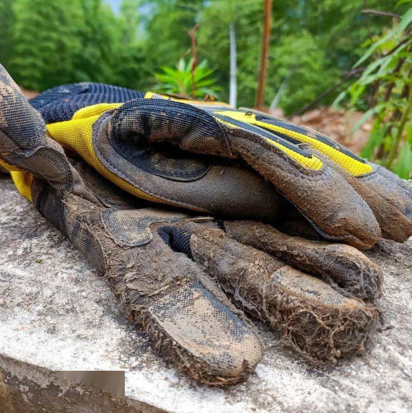 战退洪涝又清淤泥他们很拼