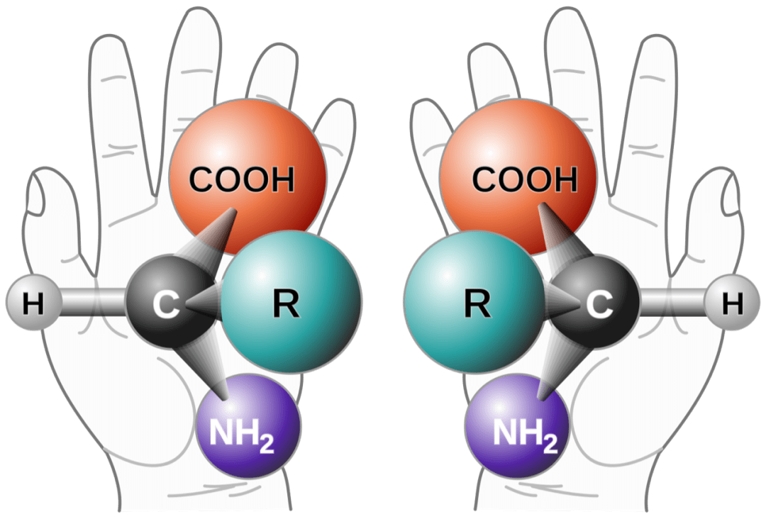 碳基生物是什么梗图片