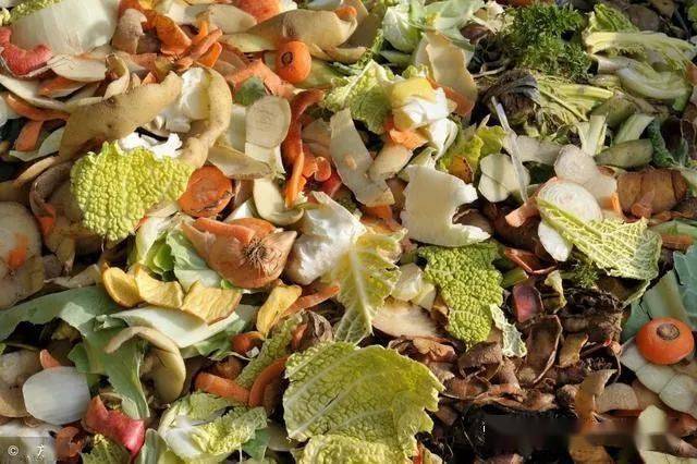 指易腐的生物质生活垃圾,包括食材废料,剩菜剩饭,过期食品,瓜皮果核