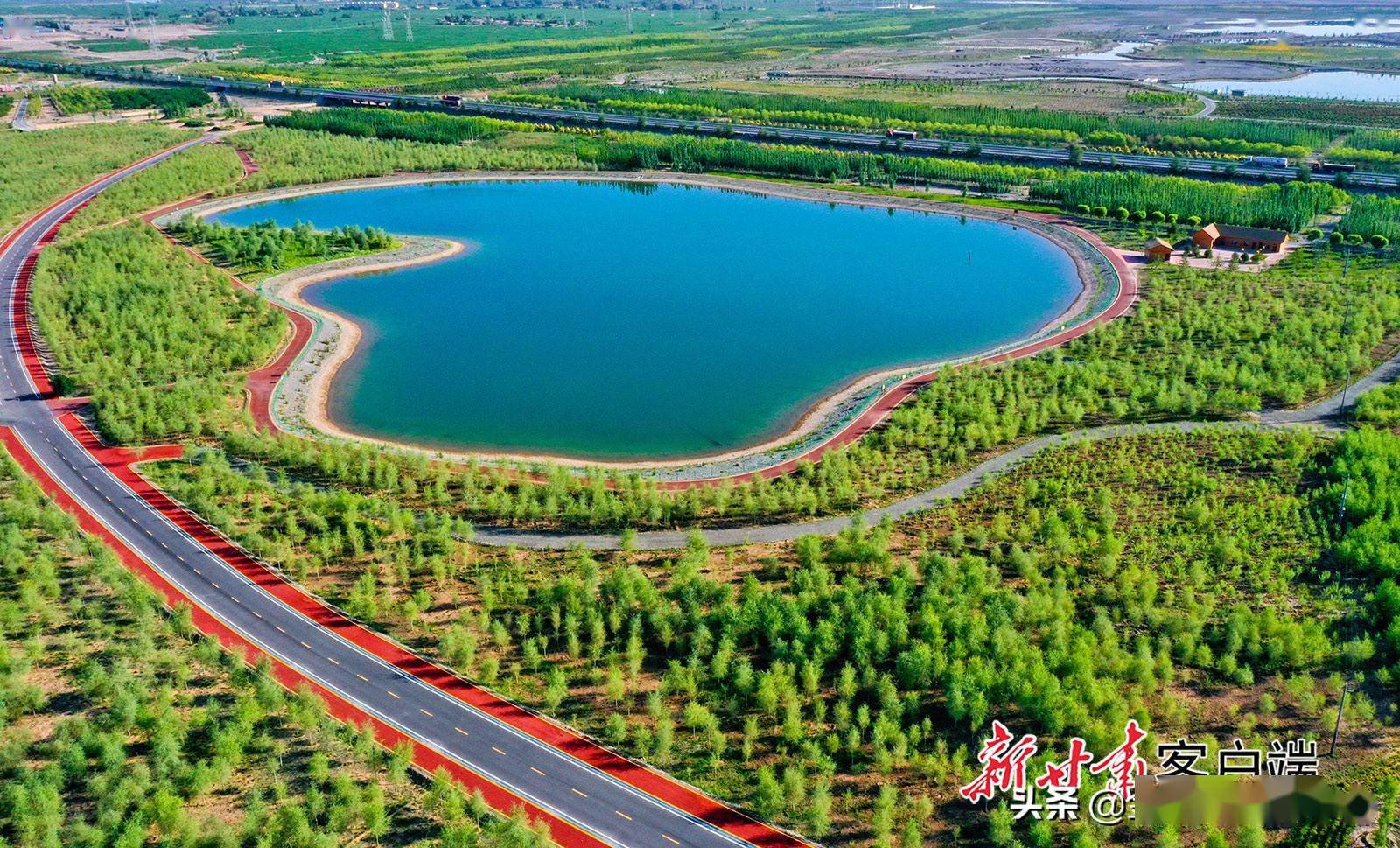 张掖市奥林匹克森林公园夏日风景美_甘州区_身心_日报