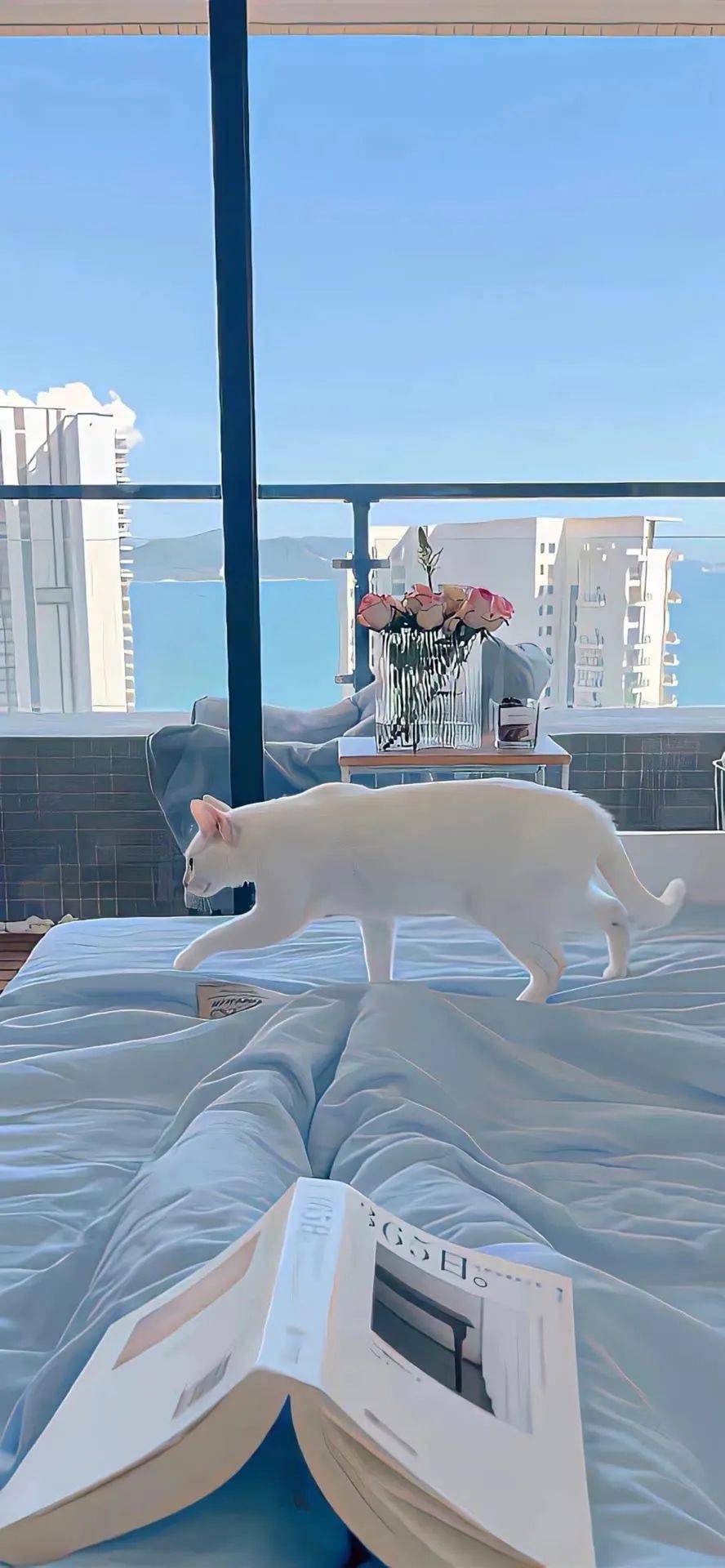 壁纸高质量壁纸实在是超棒的