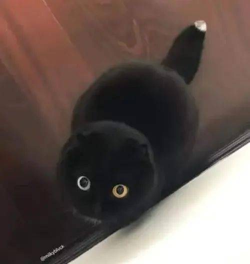 墨玉垂珠还有不得不提的童年回忆《黑猫警长》!