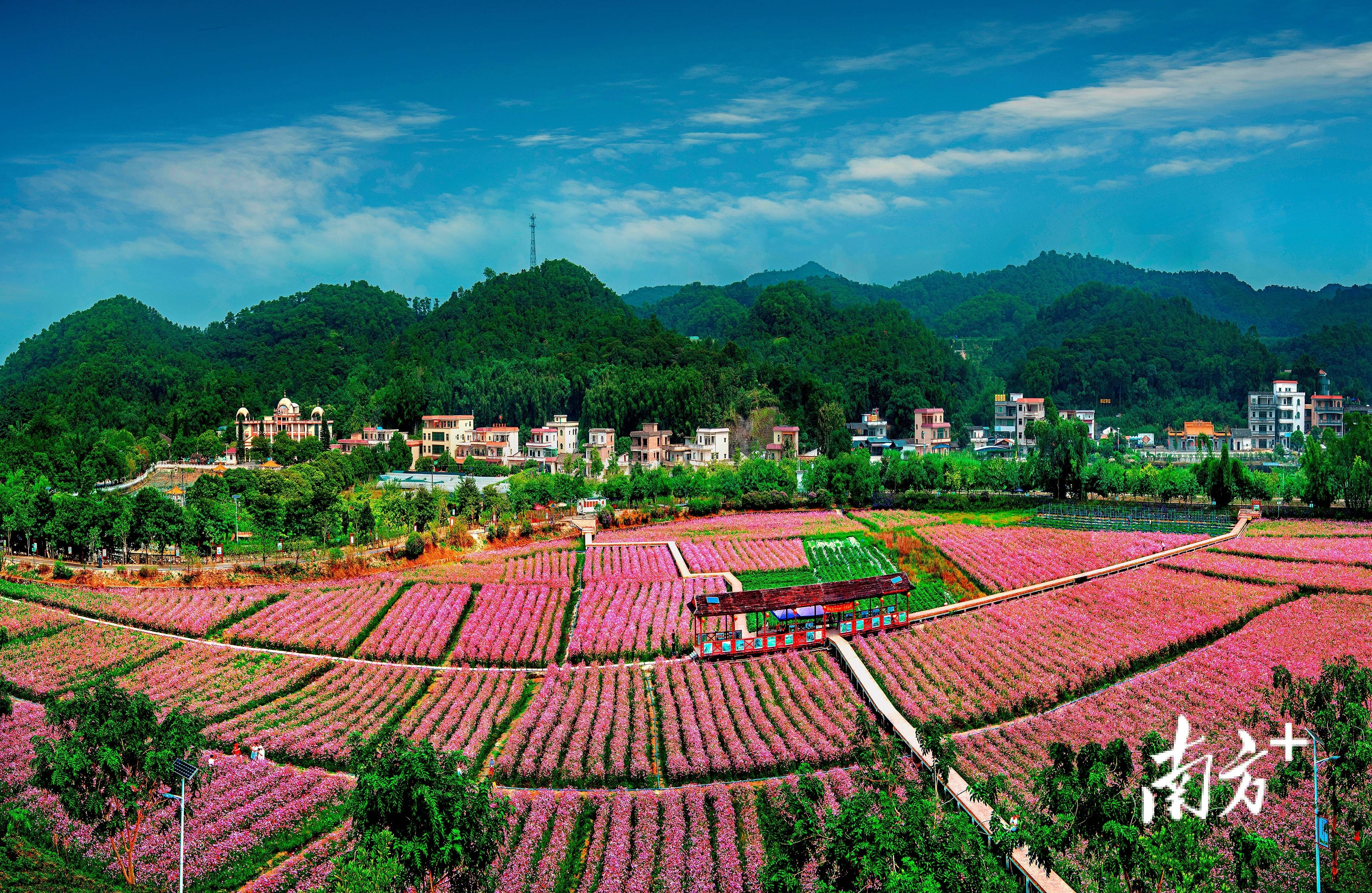 花都最美乡村小镇图片