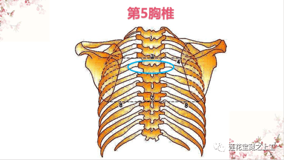 夏至二十四节气之十