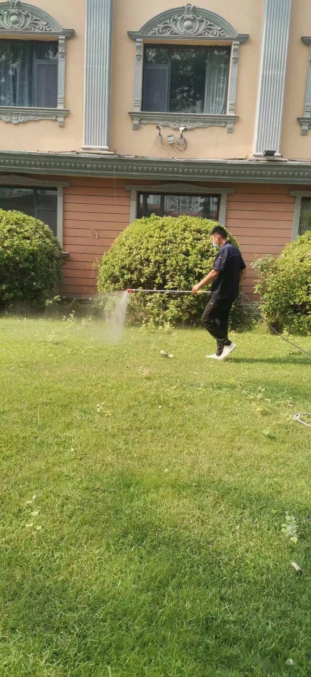 冠县爱国卫生宣传中心组织开展县城区蚊蝇消杀活动