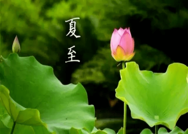 健康一 夏 株洲市中心医院康复医学科带您夏至养生 湖南省 艾灸 心包