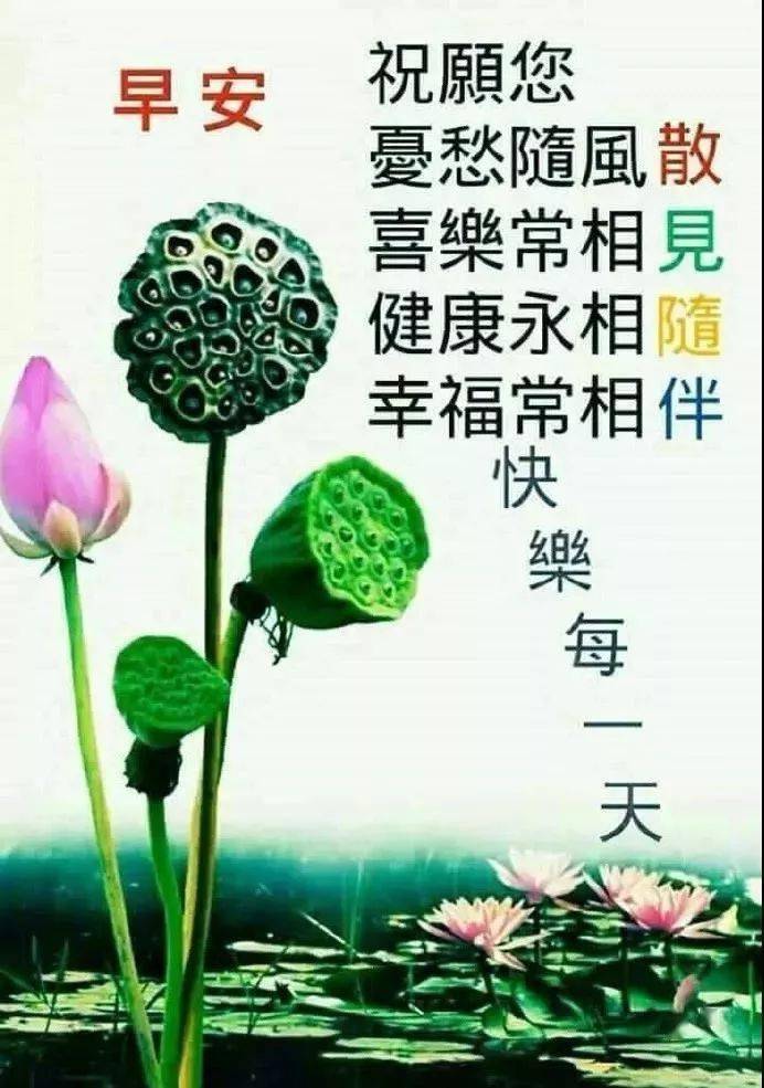 6月21日最新夏至祝福动态表情图片大全早上好问候语句子