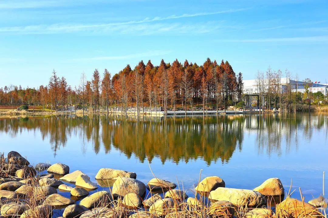 纳凉,到有故事的靖江戏鱼墩公园!