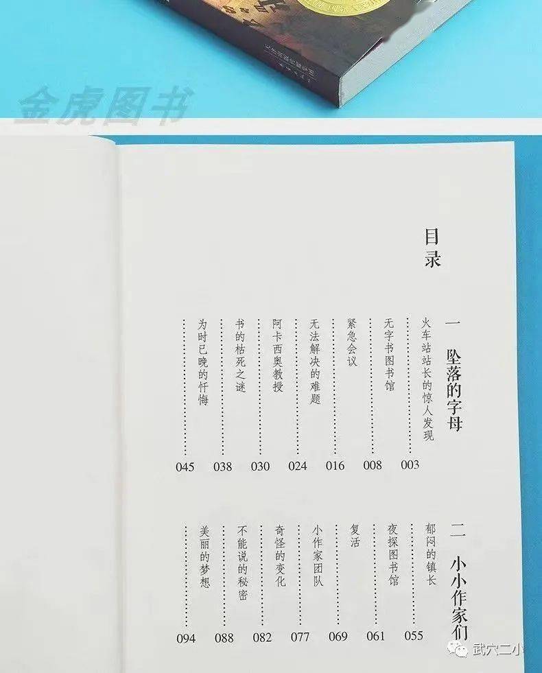 书籍推荐文馨婉无字书图书馆