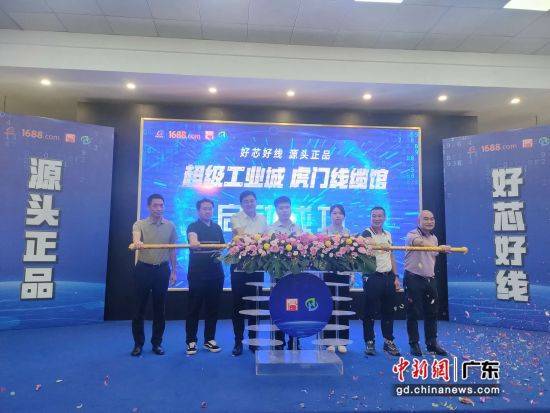 虎门电线电缆(虎门电线电缆厂)