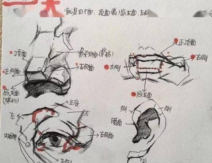 優質素描往往都是從這幾點開始局部分解教學你學廢了嗎附名師教程步驟