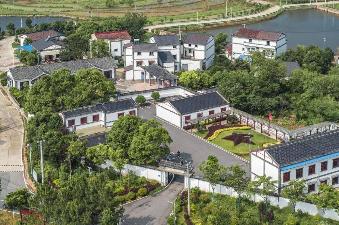 姚家集_杜堂_乡村