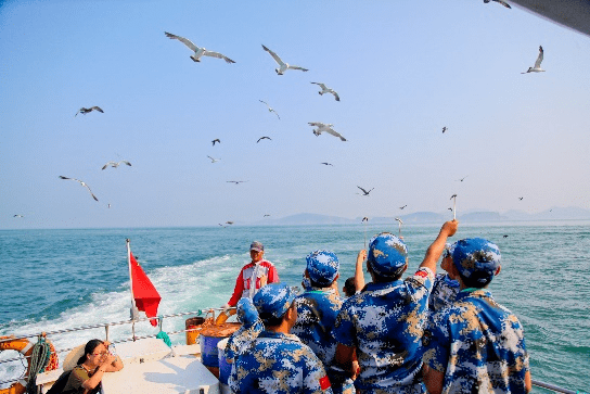 到海边去威海日照研学夏令营正在报名中