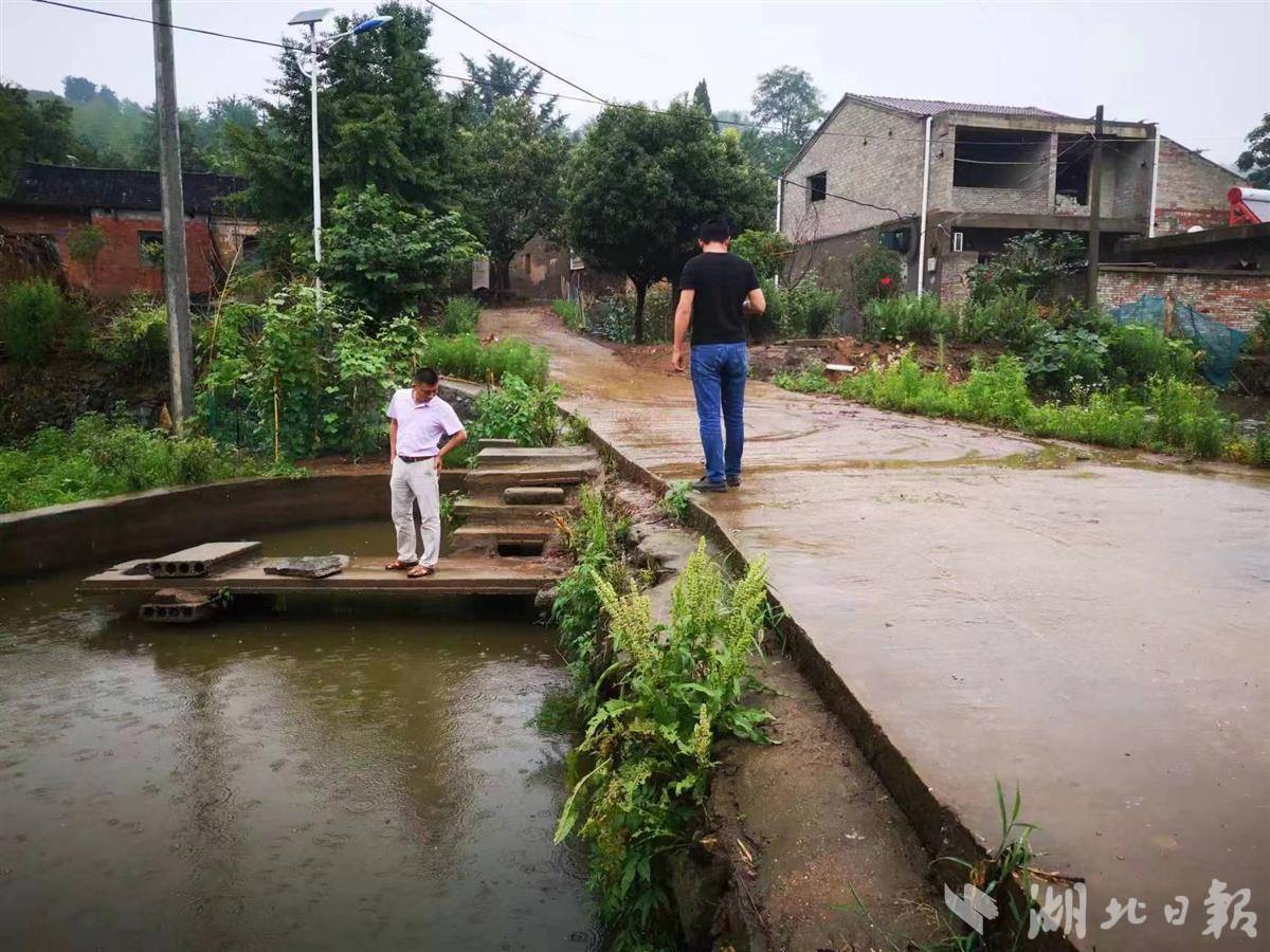 大悟全力应对强降雨天气_河口镇_高店乡_工作