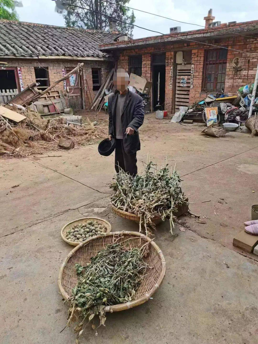 我国法律规定的毒品是指鸦片海洛因吗啡大麻可卡因以及国务院规定