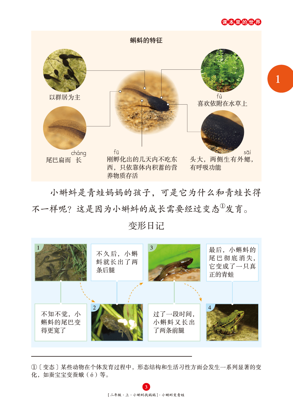 有句话说,家长要有用的,孩子要有趣的,而《绘本课