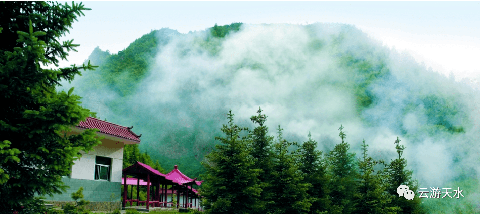 森林氧吧避暑胜地卧牛山森林公园