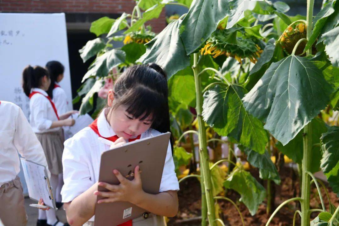 邹乐 摄星湖学校校长张先彬介绍,目前,包括向日葵全融合课程在内,星湖